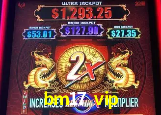 Explore as vantagens do bm17 vip: serviço profissional e confiabilidade